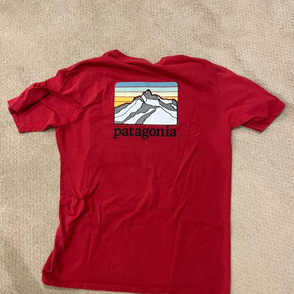 Patagonia tshirt Responsibili-tee